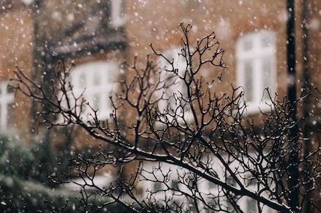 暴雪游戏(探索暴雪游戏的世界)