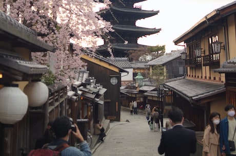 高铝水泥(如何区分真假高铝水泥，避免上当受骗)