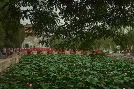 清明节的来历和风俗(清明节的来历与风俗)