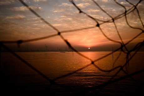 除夕是什么意思(除夕是什么意思?了解中国传统节日除夕)